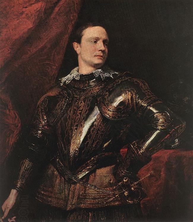 DYCK, Sir Anthony Van Portrait of a Young General dfgj